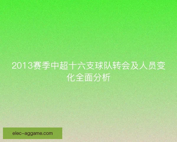2013赛季中超十六支球队转会及人员变化全面分析